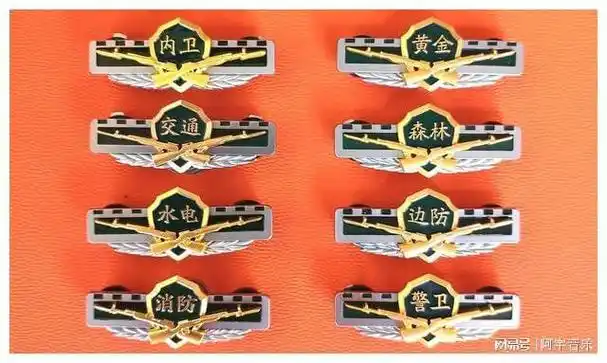 毛启国漫谈武警部队废止的22种16式胸标