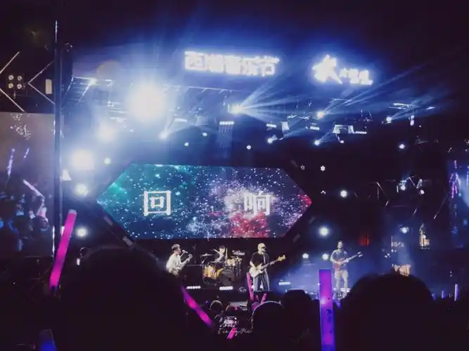 西湖音乐节汗水呼喊双手