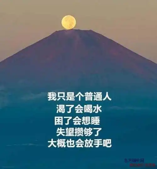 被伤透了心失望的句子