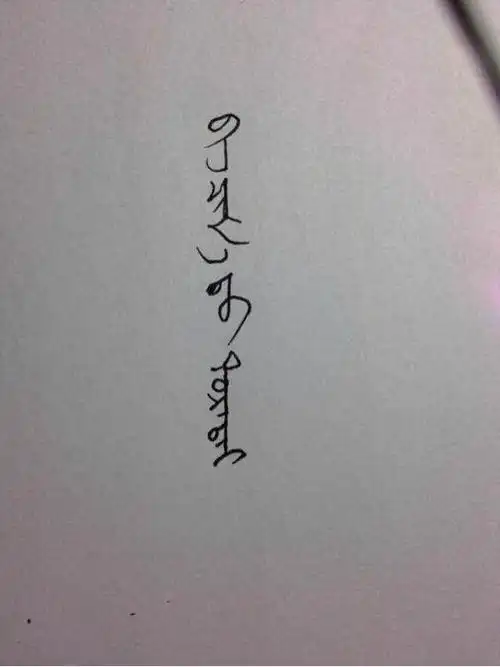 请看网友的手写体蒙文图片