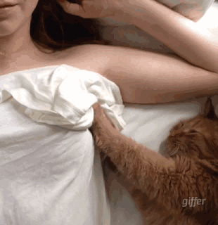 好羡慕这个按摩师 正妹太多!已经忍不住了