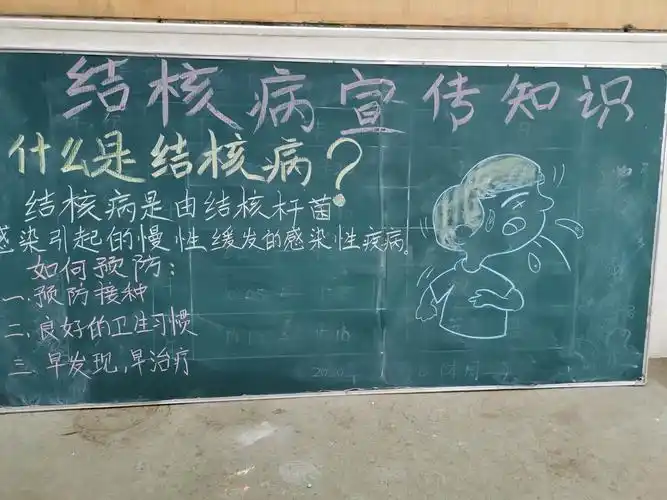 工作四:结核病校园展板宣传教育.