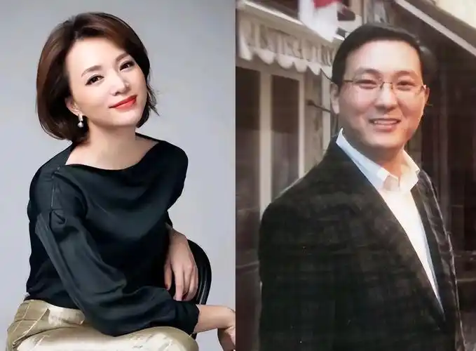 董卿丈夫公司被强制执行超7亿_元宇宙头条