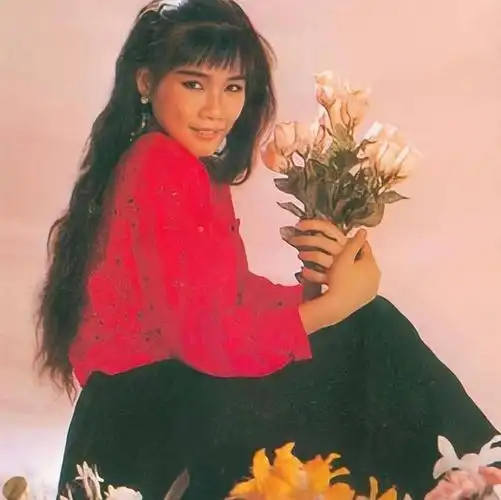 如今,年届五十八岁的韩宝仪已不再是青春年少.