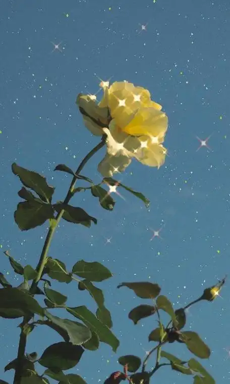 是qq壁纸网为您精心挑选的好看的手机桌面壁纸,满足您的手机壁纸需求