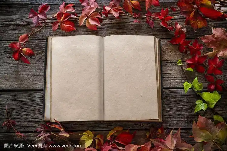 秋天古董老真正的书空白页叶框架