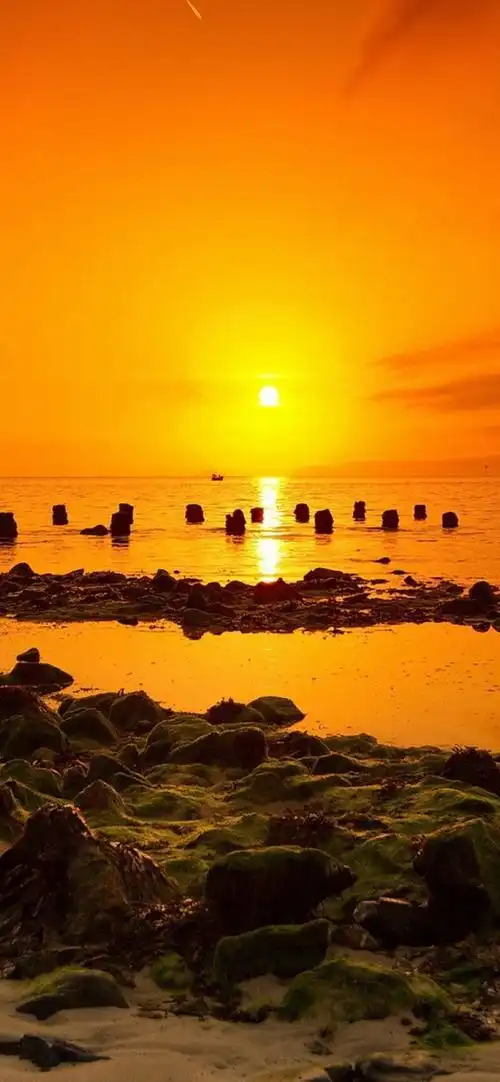 mate30高清壁纸 - 华为mate30系列分享交流 花粉俱乐部