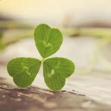 风景头像图片2021最火爆高清微信头像风景图片2021最新款合集