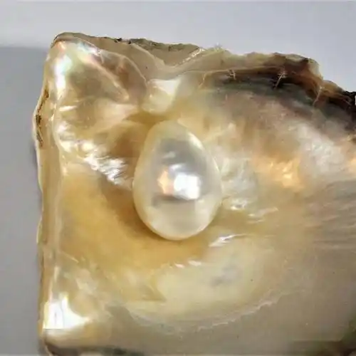 一颗堪比100套房天然野生珍珠你必须了解一下