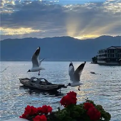 唯美治愈高级大自然风景头像图片