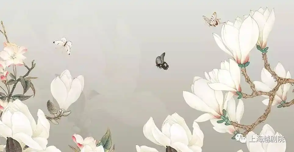 傅全香,徐玉兰,王文娟三位越剧宗师获白玉兰终身成就奖