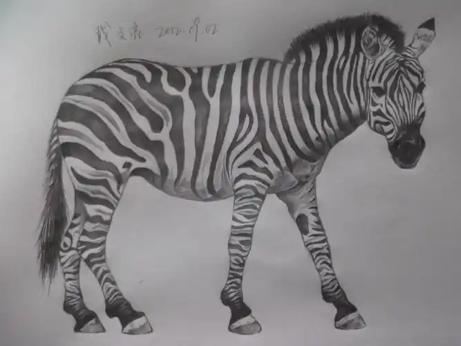 斑马|纯艺术|绘画|捉鬼少年 - 原创作品 - 站酷 (zcool)