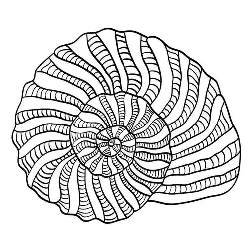手绘海螺矢量图片素材