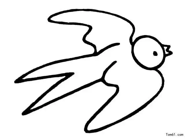 可可简笔画飞鸟