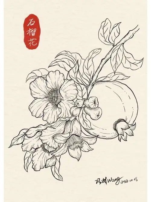 吃石榴的季节当然画石榴花附过程