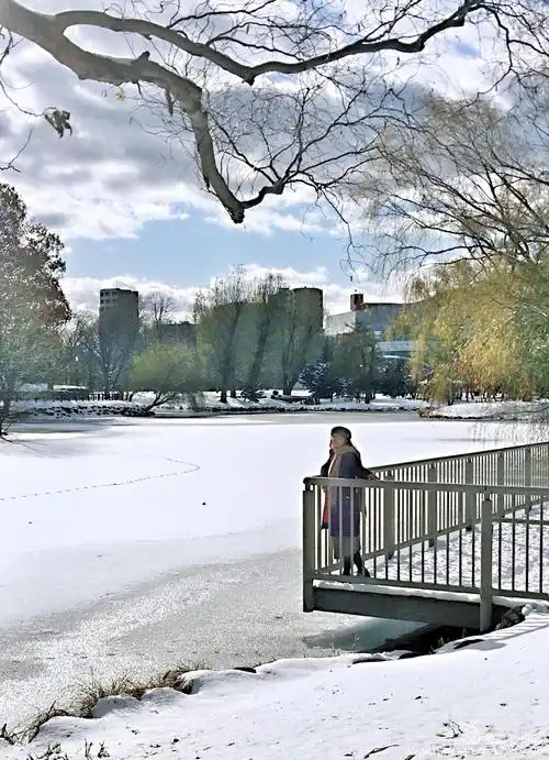 在札幌看雪的日子