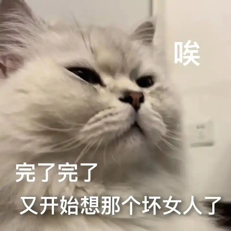 我摊牌了 想你啦!#发给对象表情包 #猫咪表情包 - 抖音