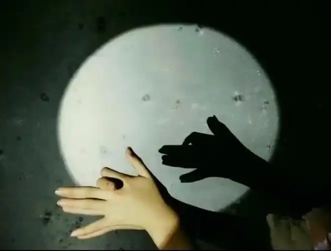 总园中班云课堂——影子的秘密