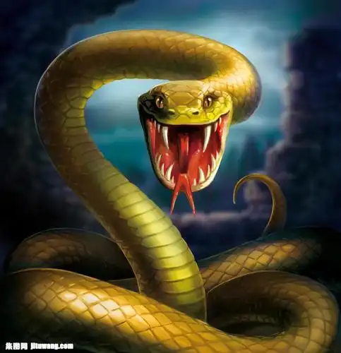 张开大嘴的眼镜蛇 图片素材下载-卡通动物-漫画插画-图片素材 - 集