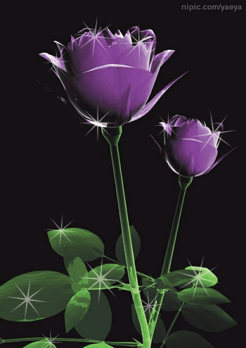 闪动的星星的制作ps制作