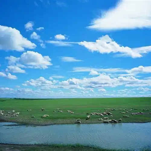 广阔草原蓝天白云最美风景微信头像_风景_草原_头像