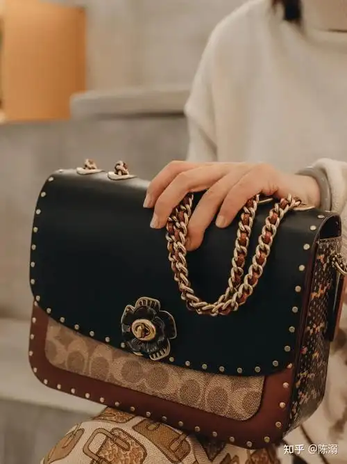 2021秋冬新款coach包包推荐知乎最全coach轻奢品牌包包女生最喜欢的