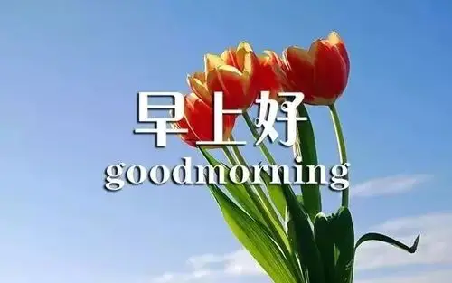 最美早上好问候祝福表情图片清晨给朋友的早安祝福语