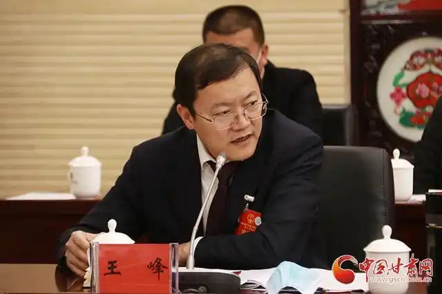 省人大代表王峰建议高度关注金融领域重大风险