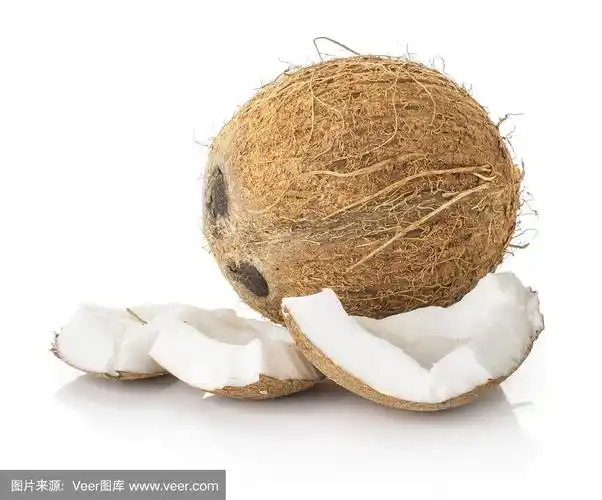 在白色上分离的新鲜棕色椰子