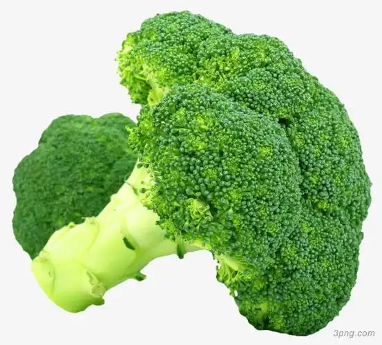 绿色新鲜西兰花png素材透明免抠图片-其他元素