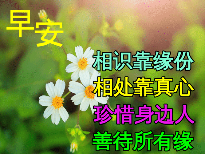 1月29日周六早安感恩人生路上所有的遇见