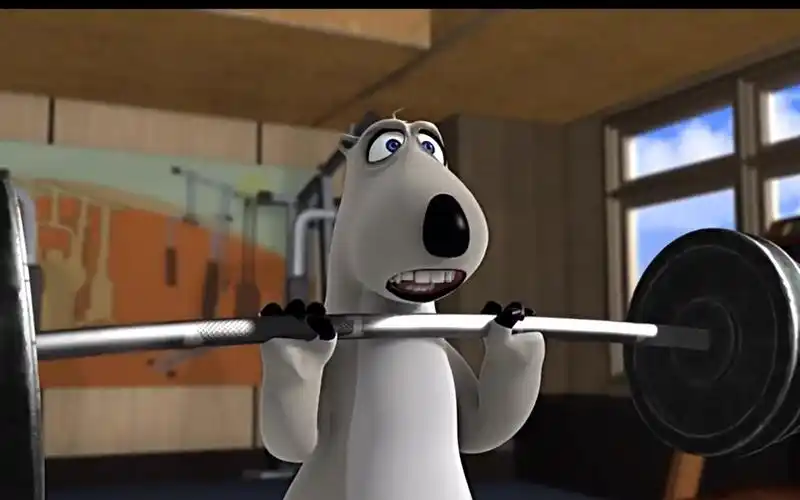 【倒霉熊】倒霉熊用100千克重物健身