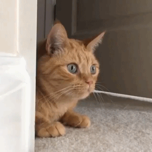 12月23日 15:23   关注   秋田六千的照片 - 微相册  评论 收藏