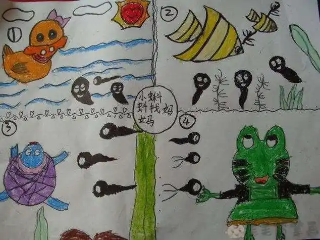 小蝌蚪找妈妈青蛙妈妈蹲在荷叶上的简笔画