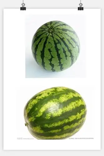 2.能发现生活中椭圆形的物品.