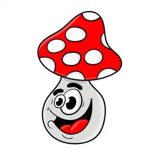 有趣的卡通蘑菇人物设计.矢量插图照片