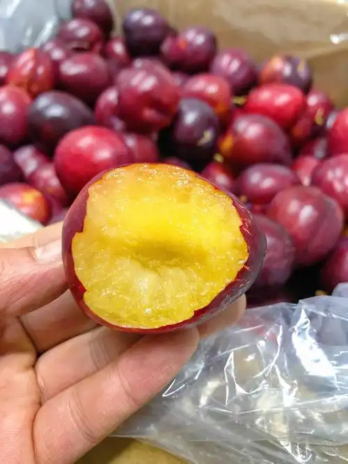 鸡心李智利鸡心李甜脆好吃果肉青黄好吃李子中抗氧化剂含量高的惊人