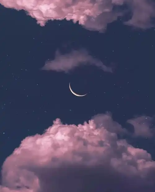 今日歌单之音乐全接触