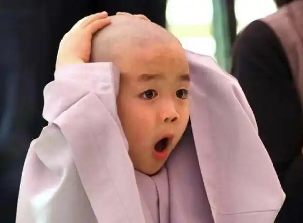 刚一进门就被小外甥光秃秃的头给闪到了,我问妹妹怎么给孩子剃了光头