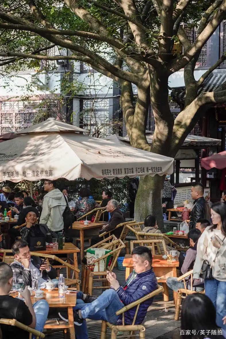 四川成都:悠闲的人民公园 悠闲的成都生活 好想做成都人哟