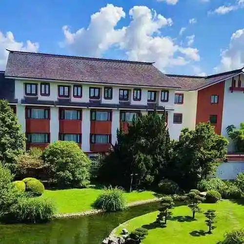 上海| 上海西郊宾馆 年味"食"足 团圆饭抢先预定中|用餐|年夜饭|团圆