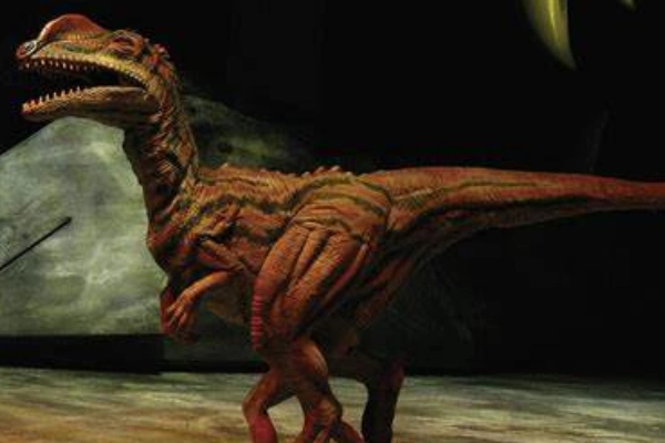 理理恩龙最初也曾经被称为理氏敏捷龙,但是之后建立了独立的种属才