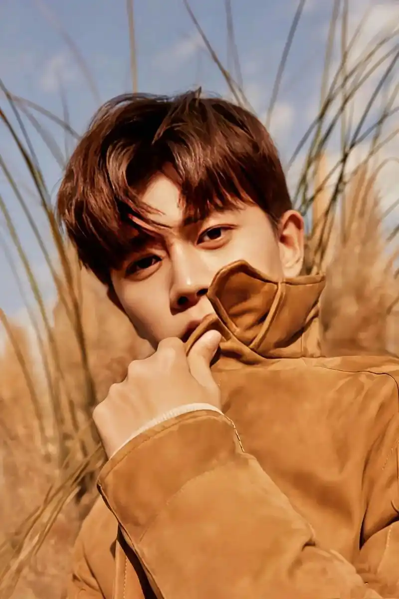 "新的故事会在秋天温柔的晚风中开始"   #任嘉伦allen - 抖音