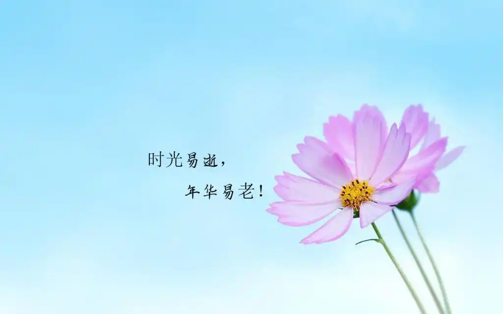 时光匆匆的经典句子配图