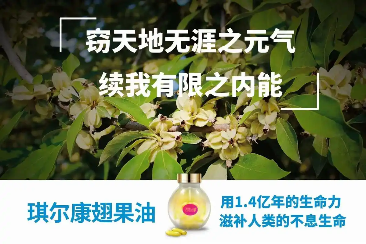 翅果油增强抵抗力提高免疫力  - 抖音