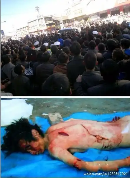 微博上看到的四川官二代吃"霸王餐",看完后我又不晓得说啥子了.