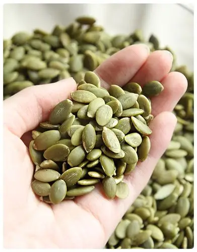 南瓜子仁,是指将南瓜成熟的种子去壳后取得的瓜子仁.