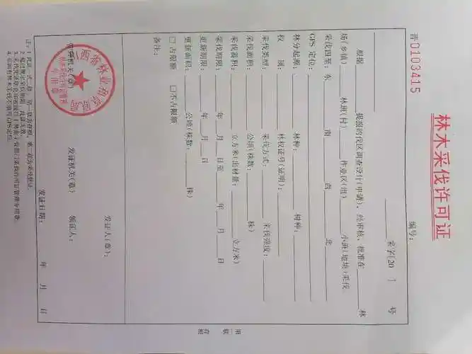 林木采伐许可证.jpg