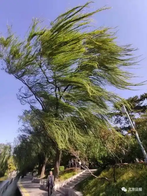 今天这场风把北京直吹上热搜!刚刚,好消息来了