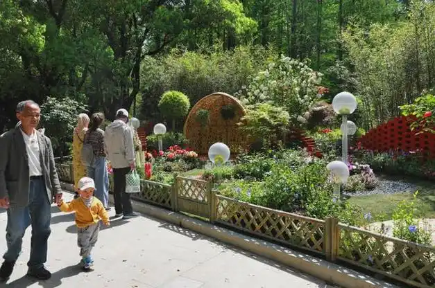 上海花展,满意不满意?|园艺|上海市|上海植物园_网易订阅